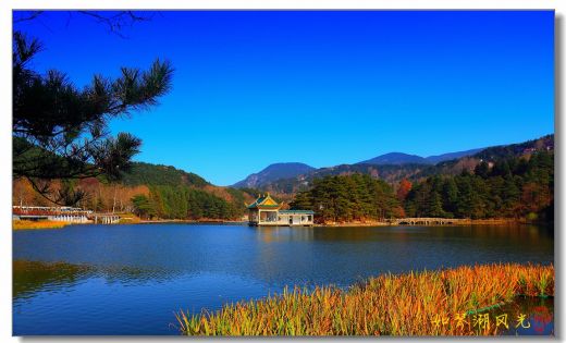 20110210073304187.jpg